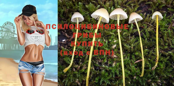 каннабис Алексеевка