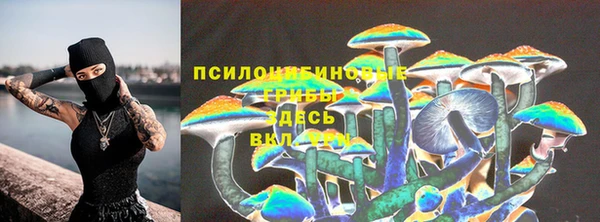 2c-b Алексин